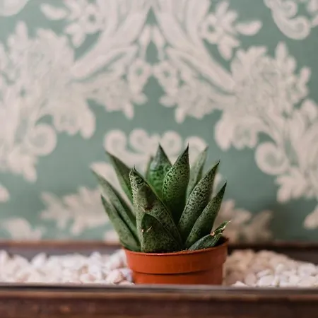 Dimora Augusto & Valentina Maiano (Friuli Venezia Giulia)